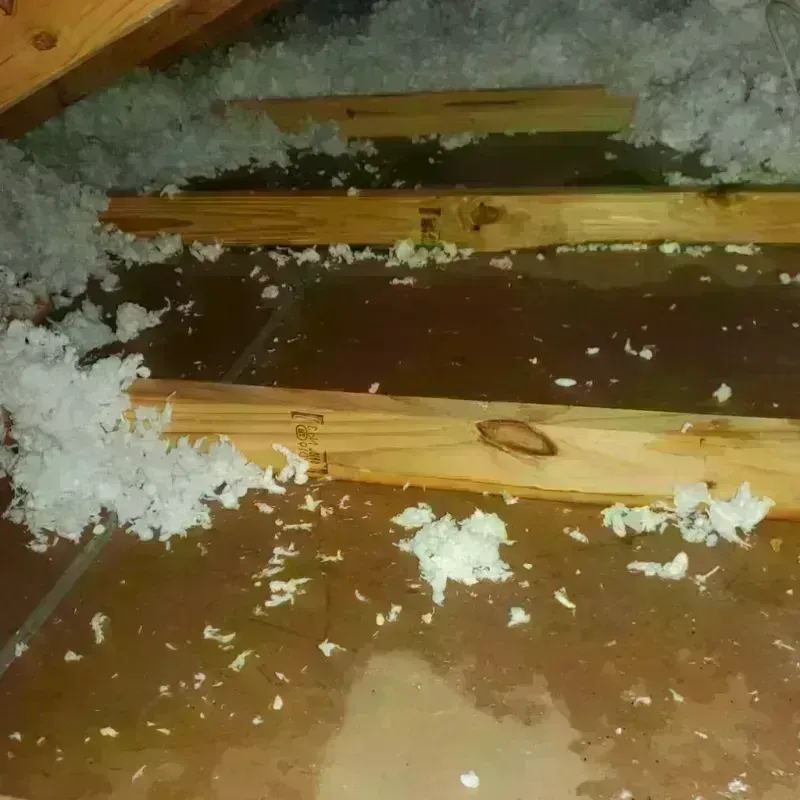 Attic Water Damage in Fairborn, OH