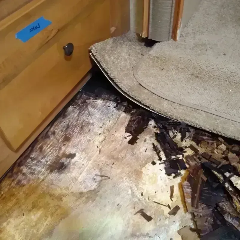 Wood Floor Water Damage in Fairborn, OH